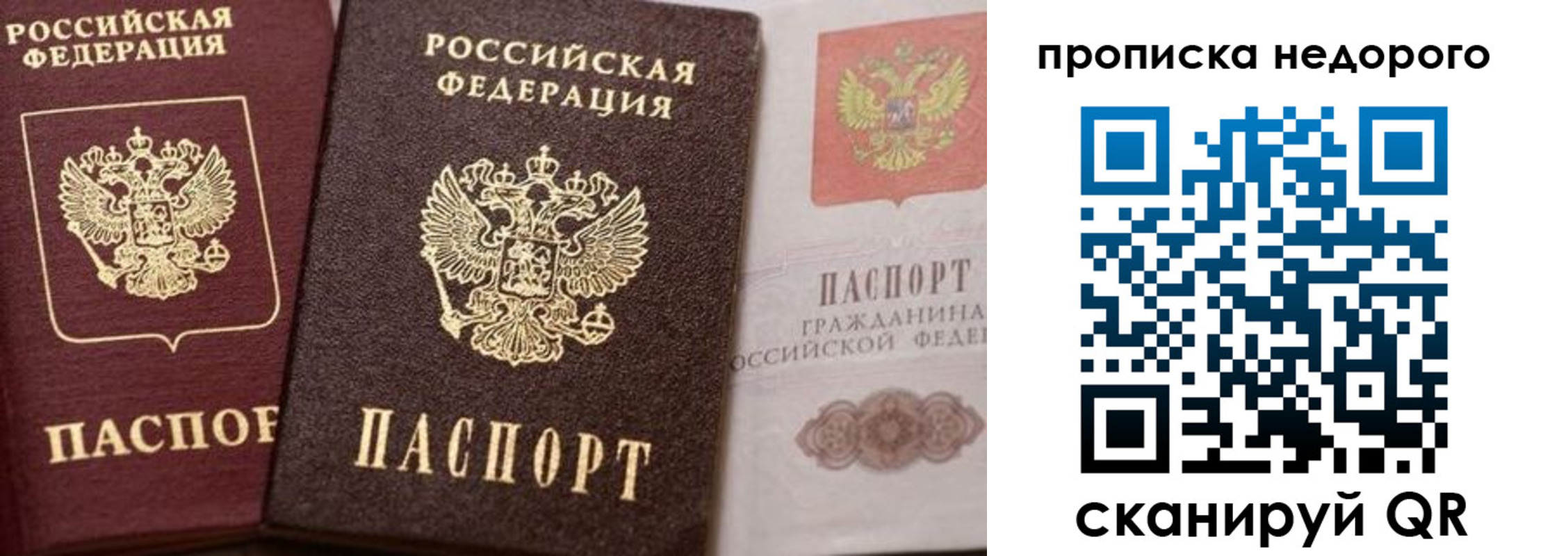 временная регистрация надежно в Новомосковске